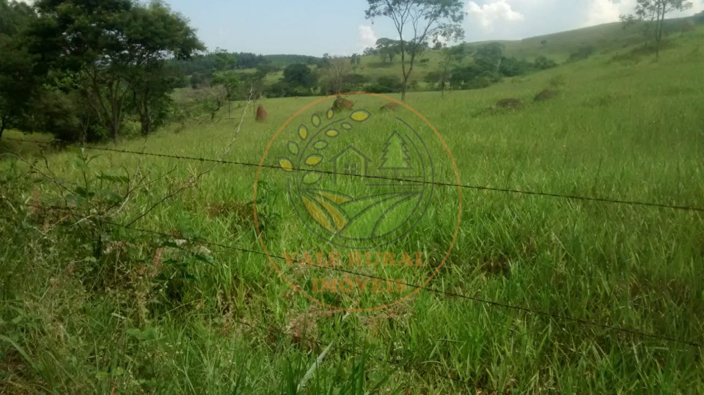Fazenda - Foto 3