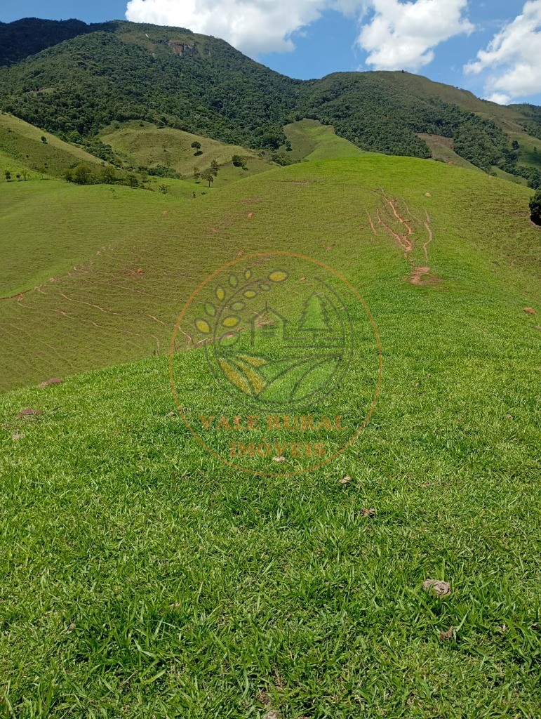 Sítio - Foto 7