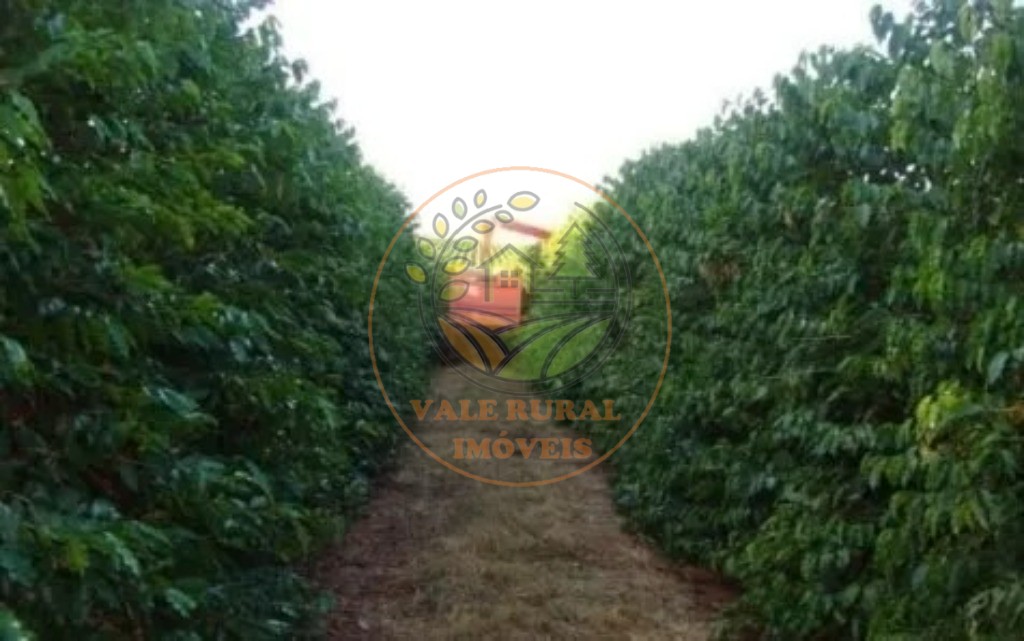 Fazenda - Foto 11