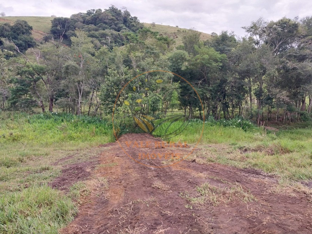 Fazenda - Foto 7