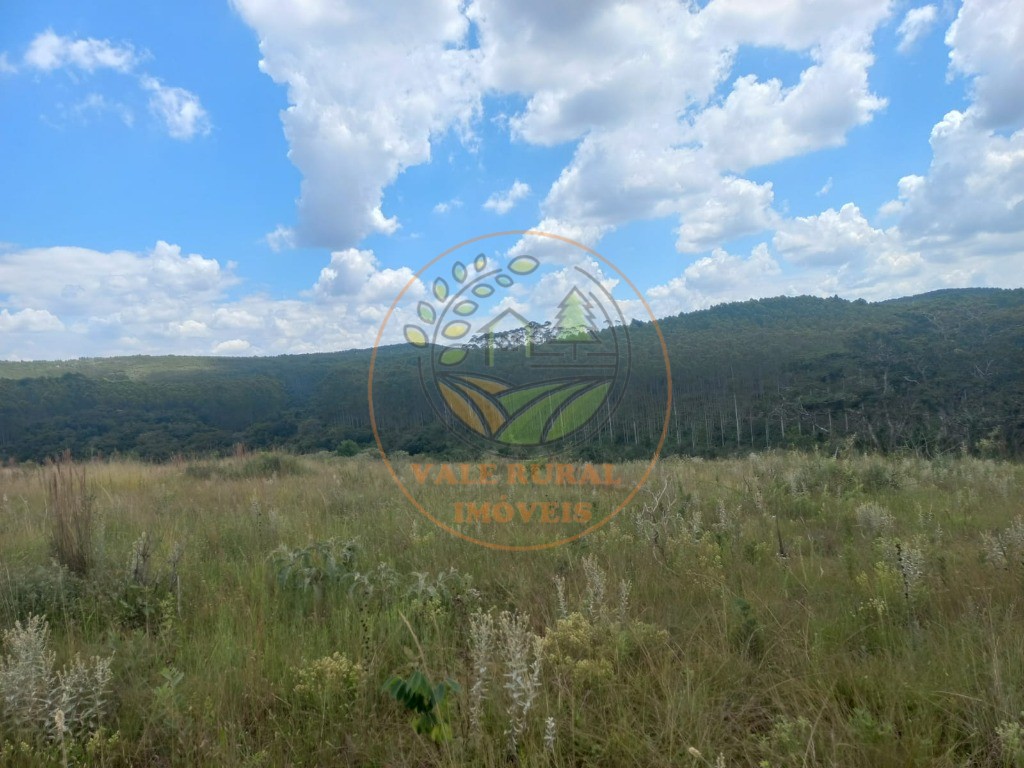 Fazenda - Foto 30