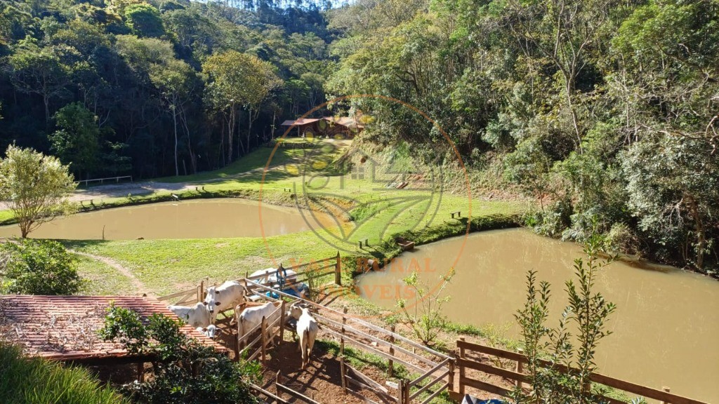Sítio, 4 quartos - Foto 7