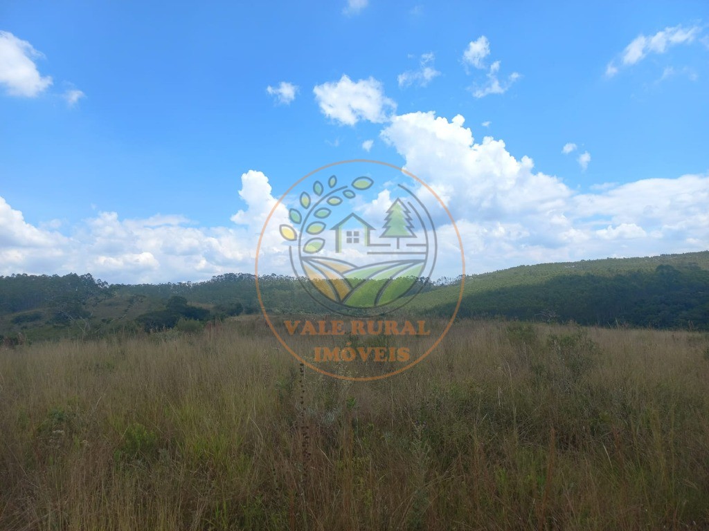 Fazenda - Foto 27