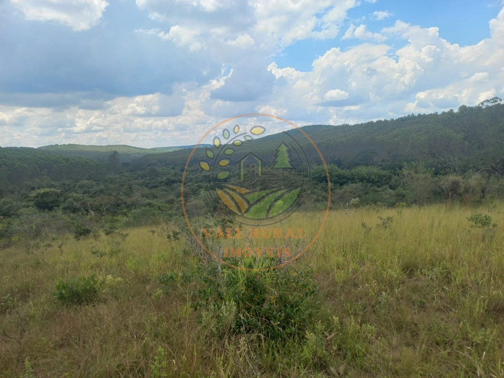 Fazenda - Foto 14