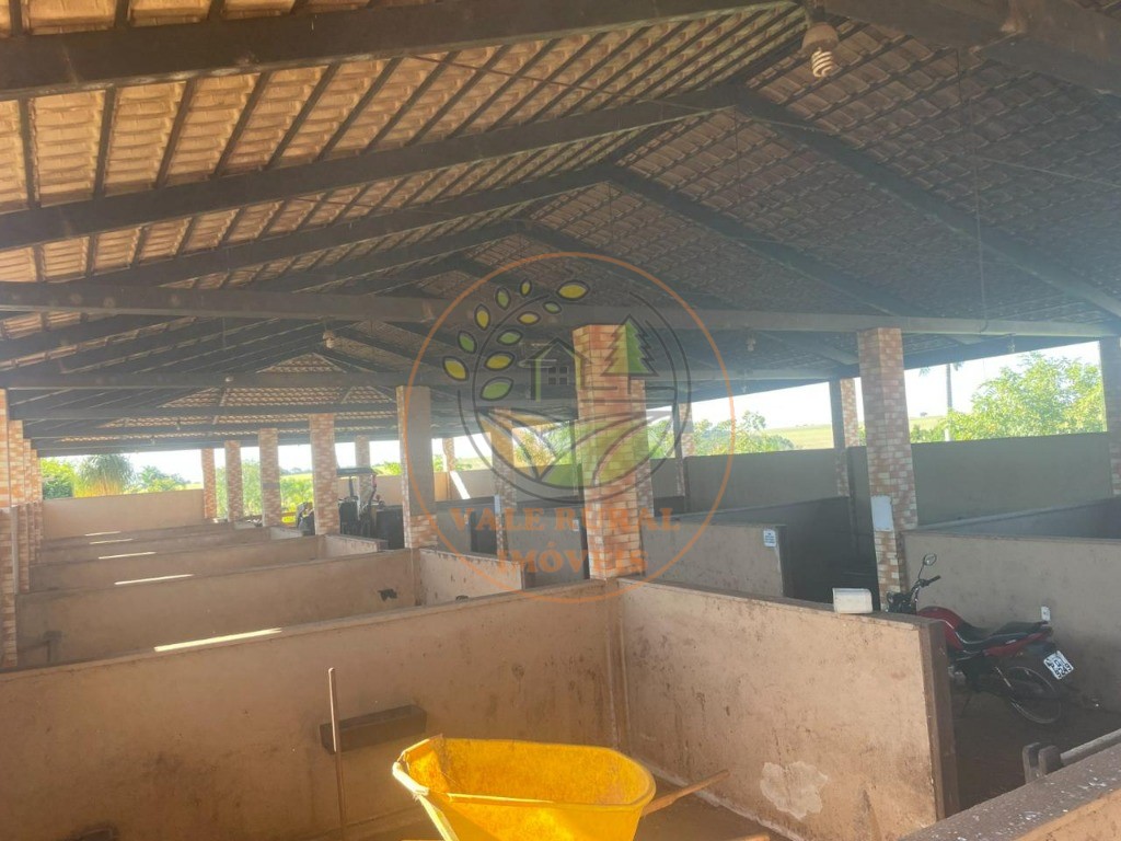 Fazenda, 3 quartos - Foto 20