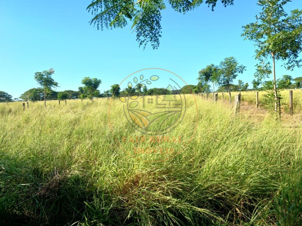 Fazenda - Foto 30