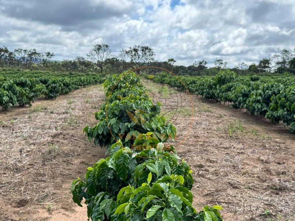 Fazenda, 4 quartos - Foto 15