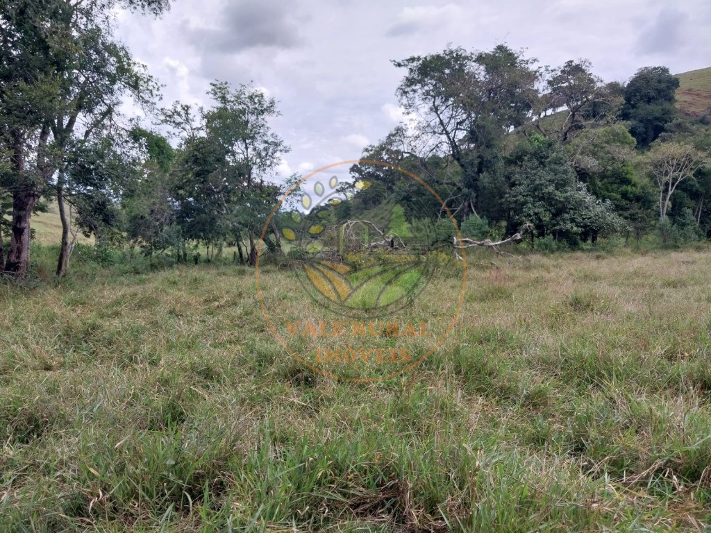 Fazenda - Foto 9