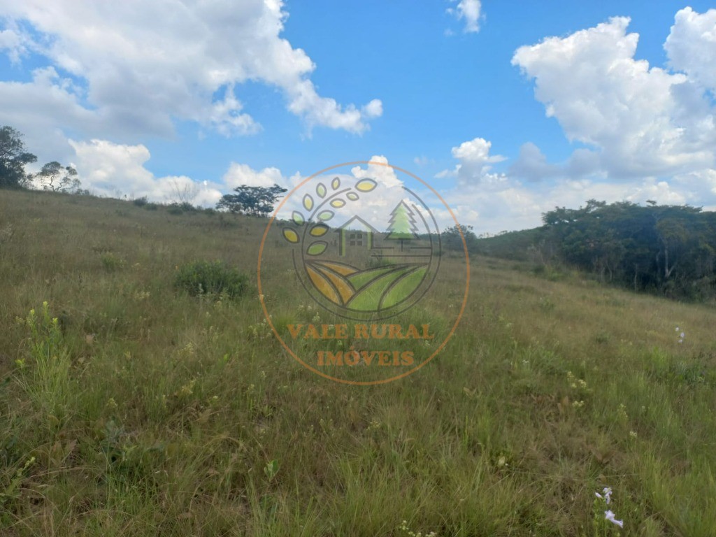 Fazenda - Foto 32