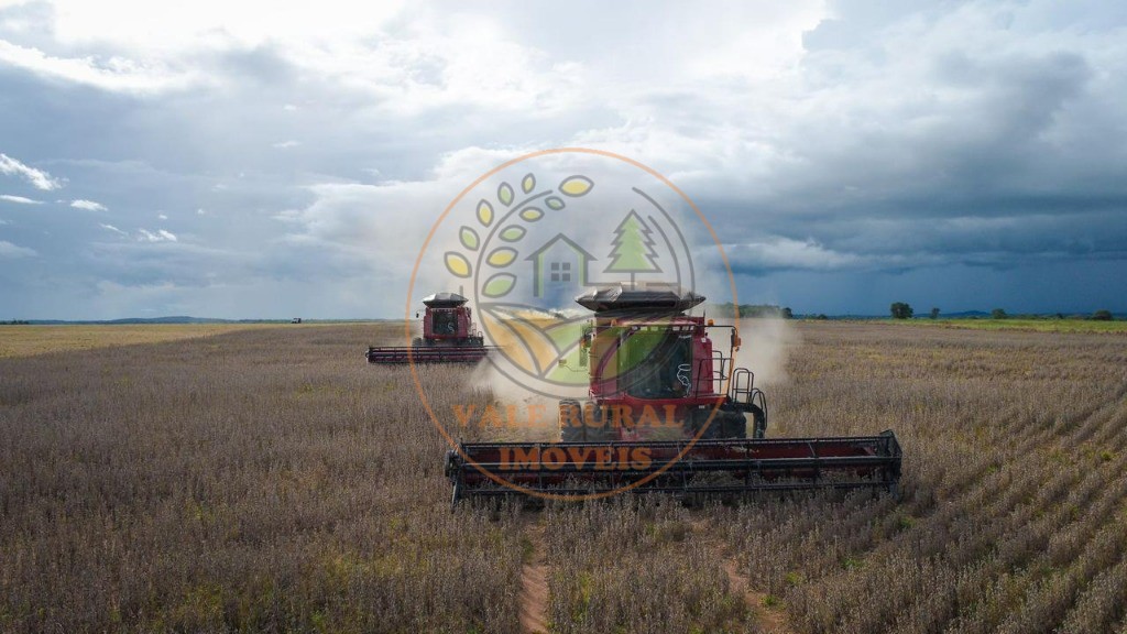 Fazenda - Foto 6