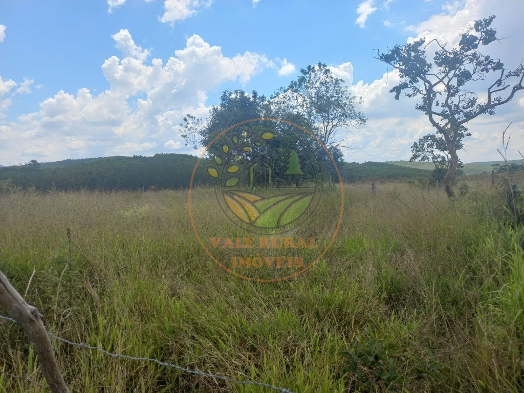 Fazenda - Foto 1