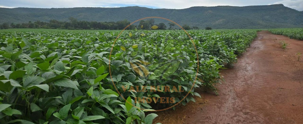 Fazenda, 1 quarto - Foto 6