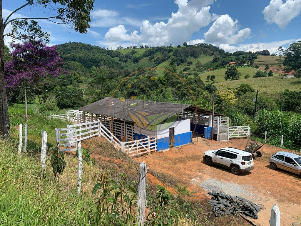 Sítio, 3 quartos - Foto 18