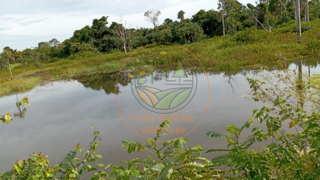 Fazenda - Foto 4