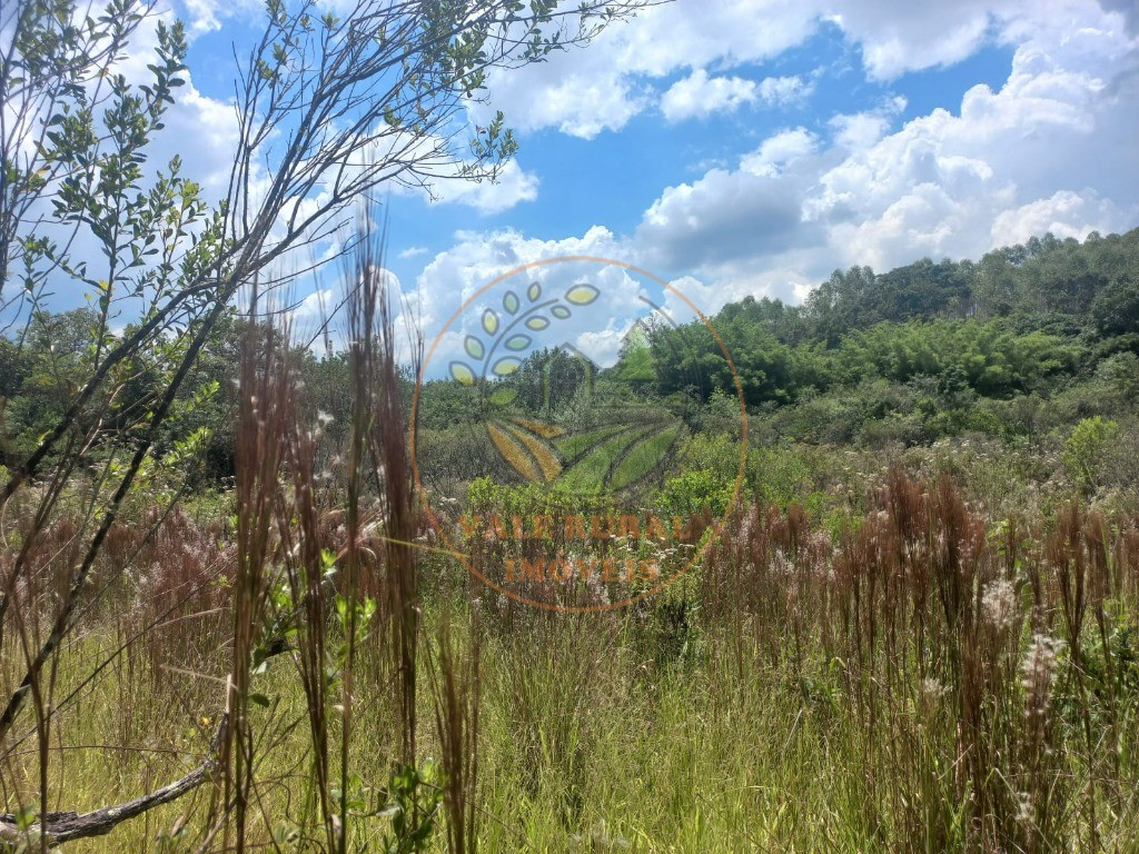 Fazenda - Foto 20