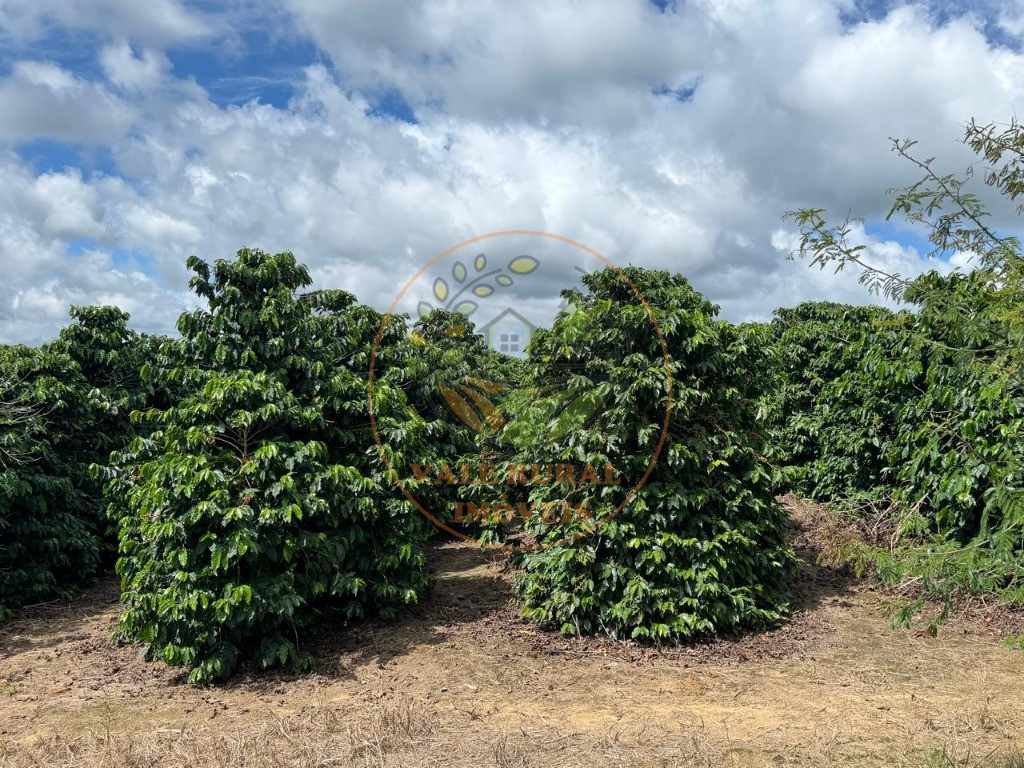 Fazenda, 4 quartos - Foto 6