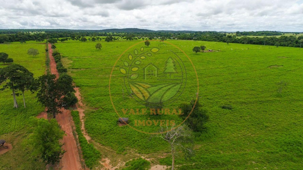 Fazenda - Foto 18