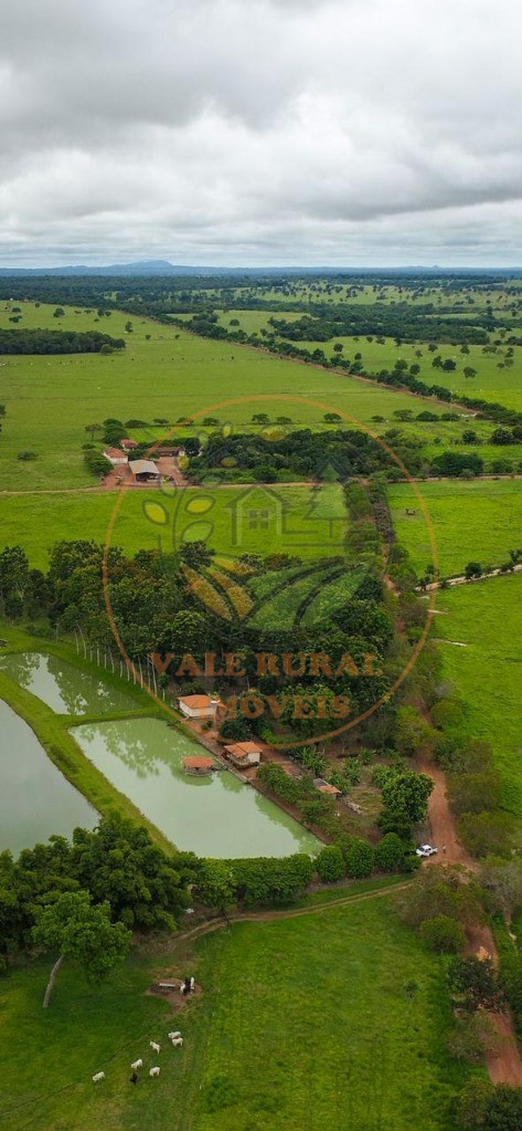 Fazenda - Foto 36