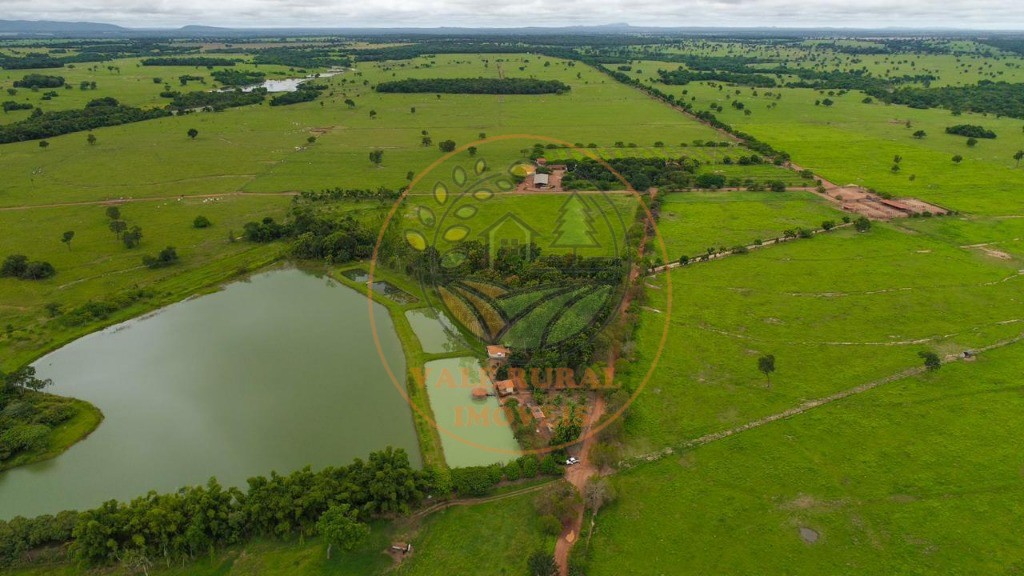 Fazenda - Foto 16