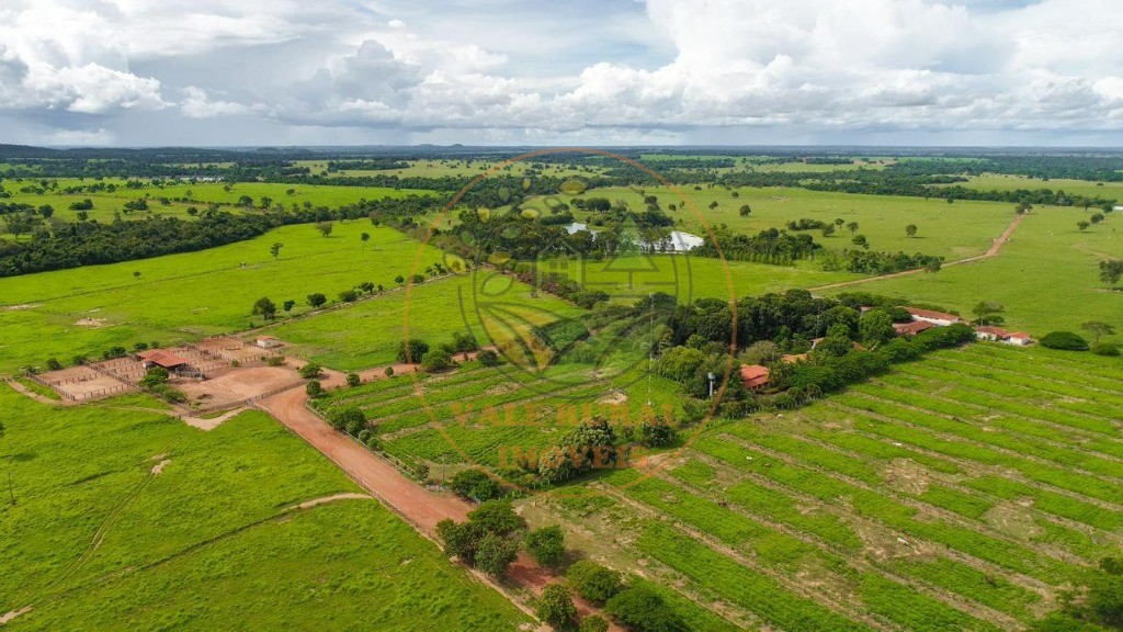 Fazenda - Foto 20