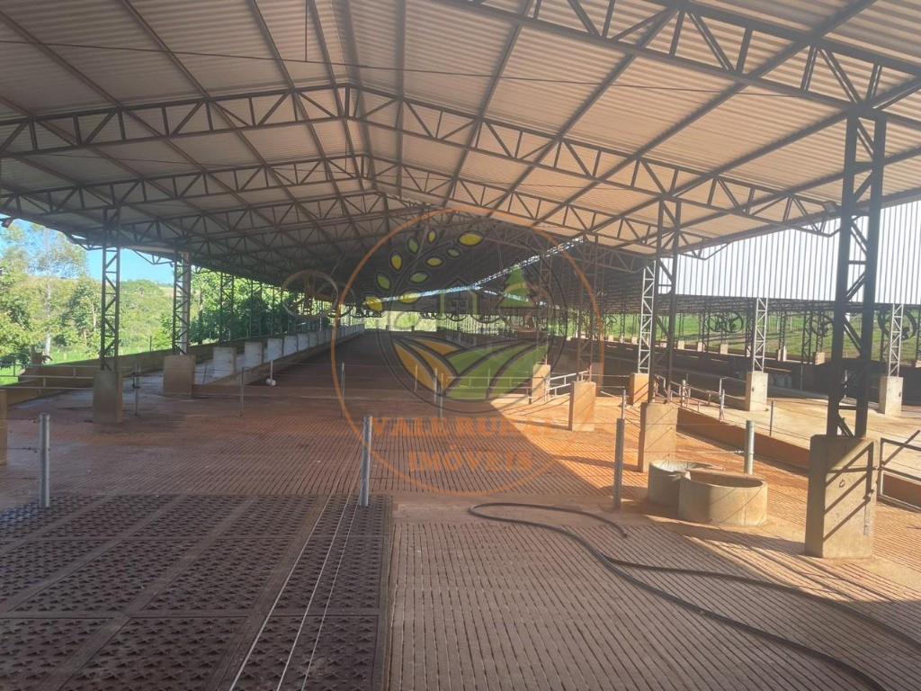 Fazenda, 3 quartos - Foto 19