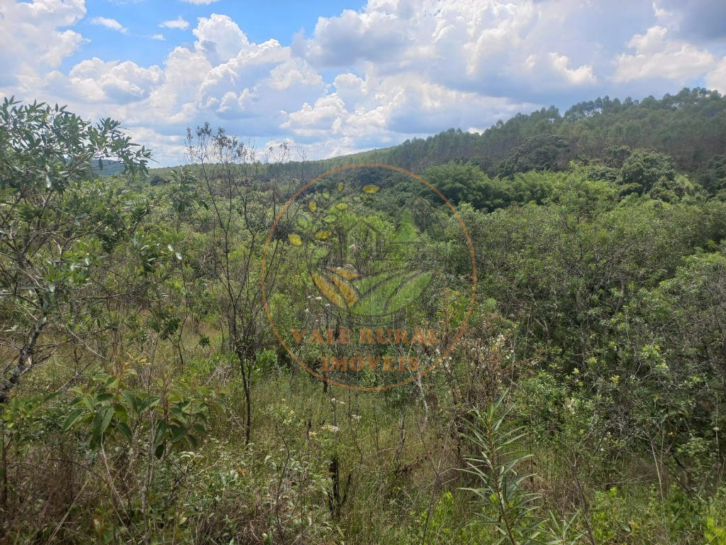 Fazenda - Foto 13