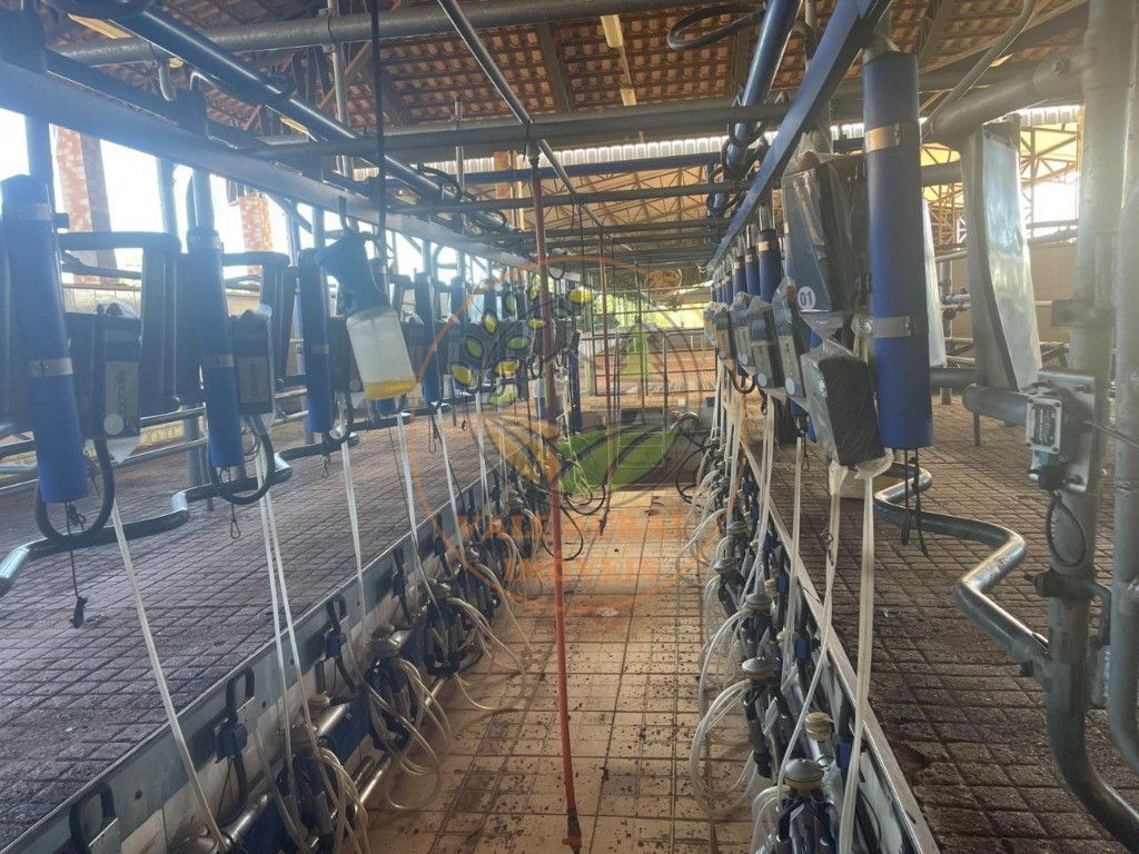 Fazenda, 3 quartos - Foto 23