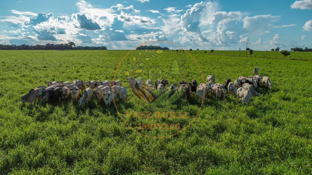 Fazenda - Foto 3