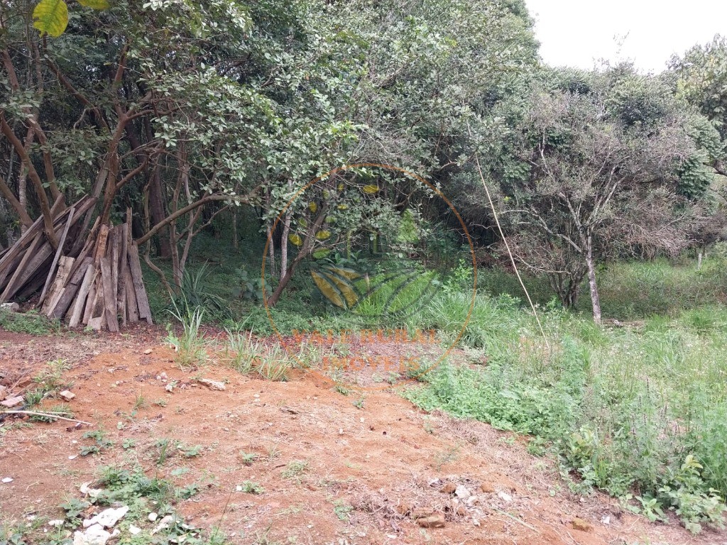 Sítio, 2 quartos, 3 hectares - Foto 30