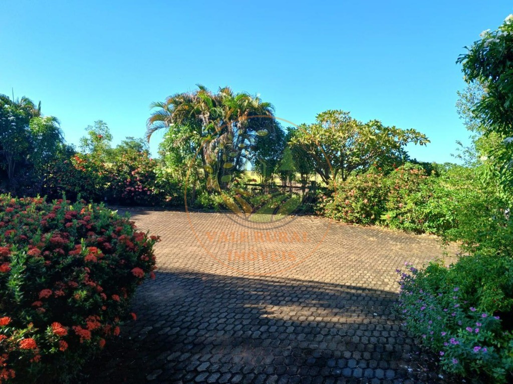 Fazenda - Foto 23