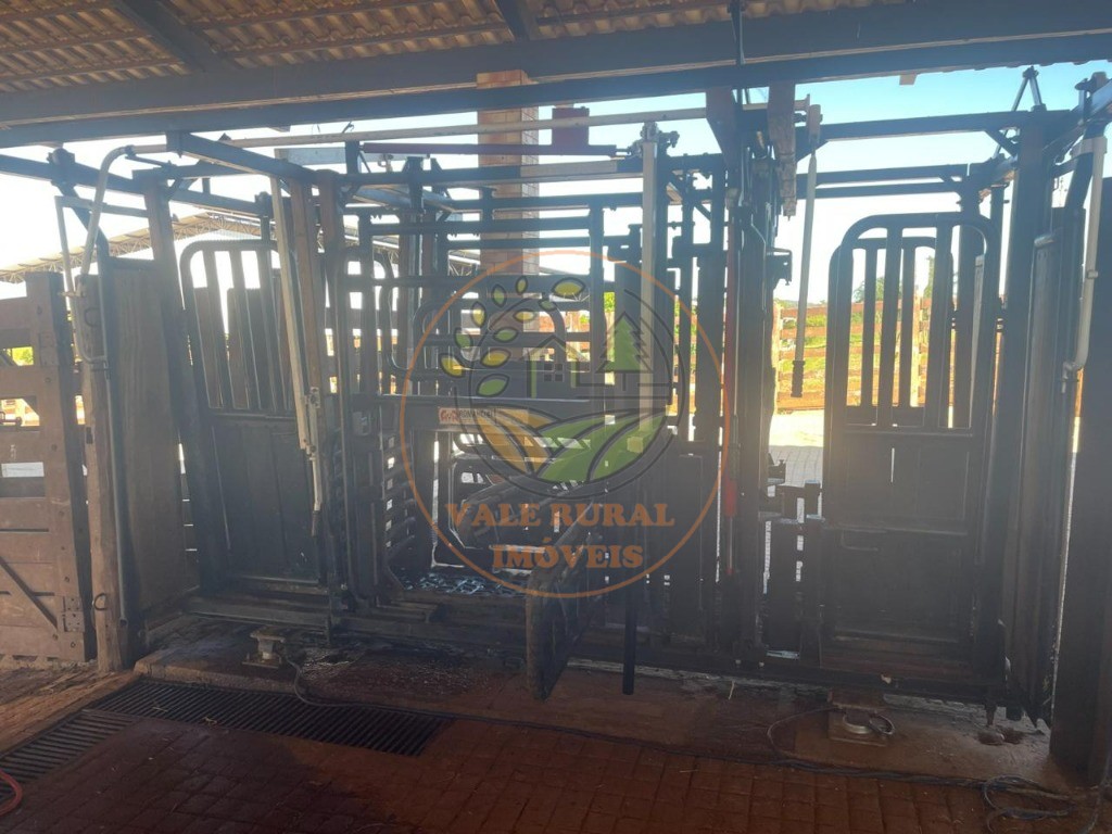 Fazenda, 3 quartos - Foto 25