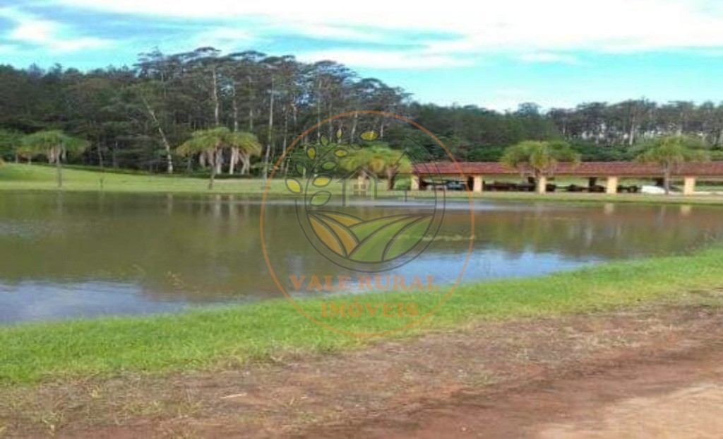 Fazenda - Foto 16