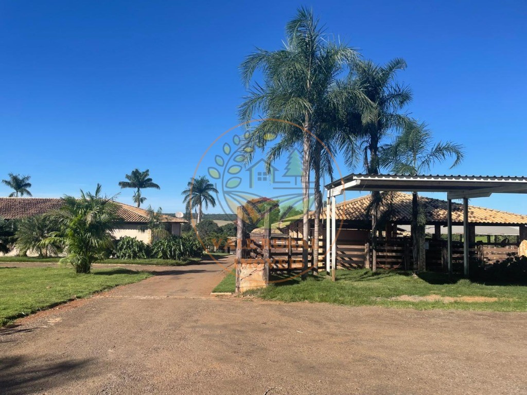 Fazenda, 3 quartos - Foto 6