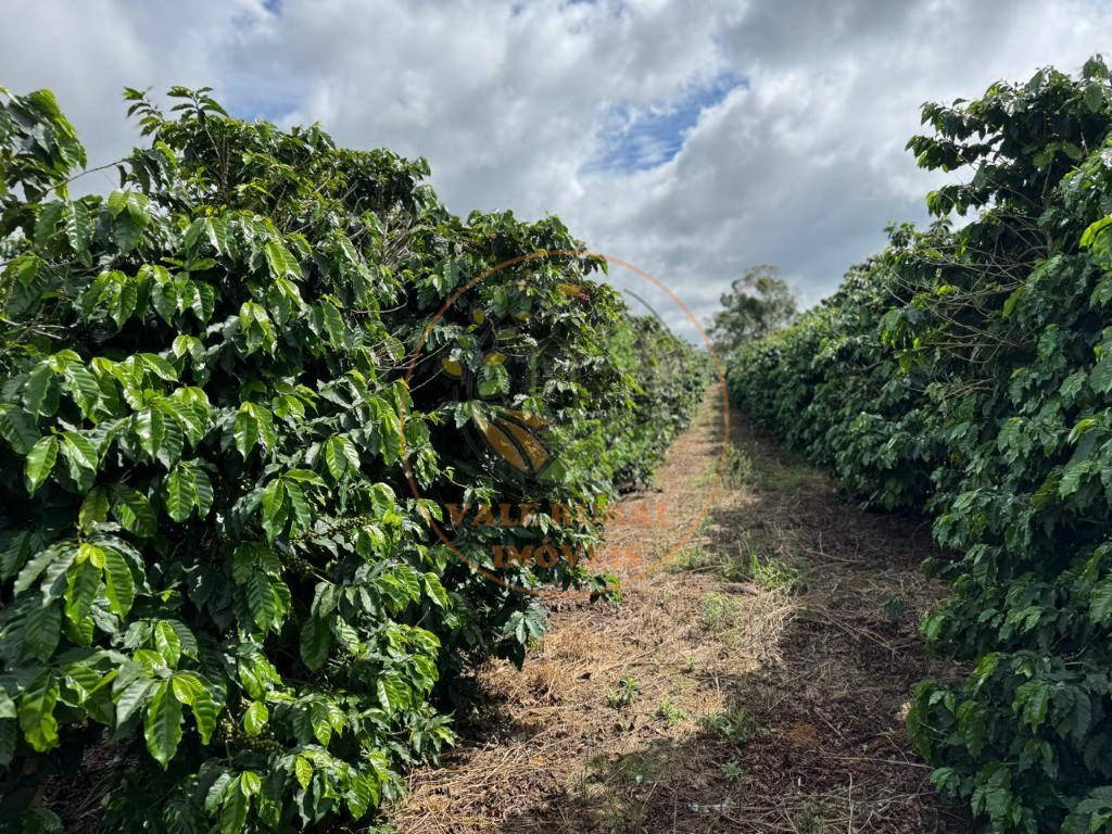 Fazenda, 4 quartos - Foto 3