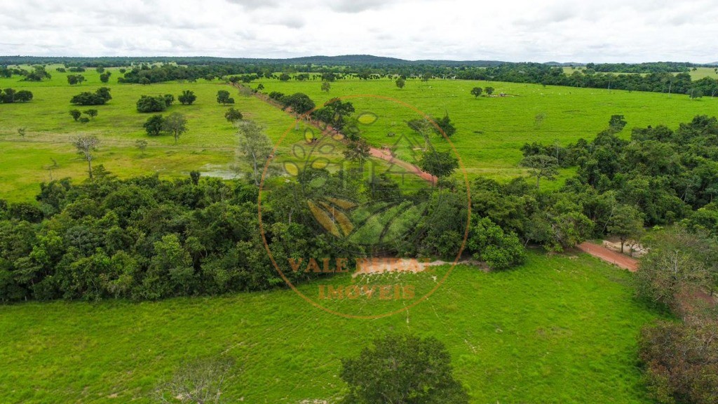 Fazenda - Foto 14
