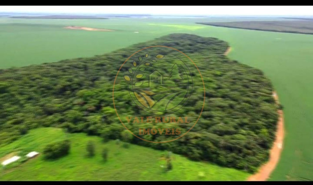 Fazenda - Foto 4