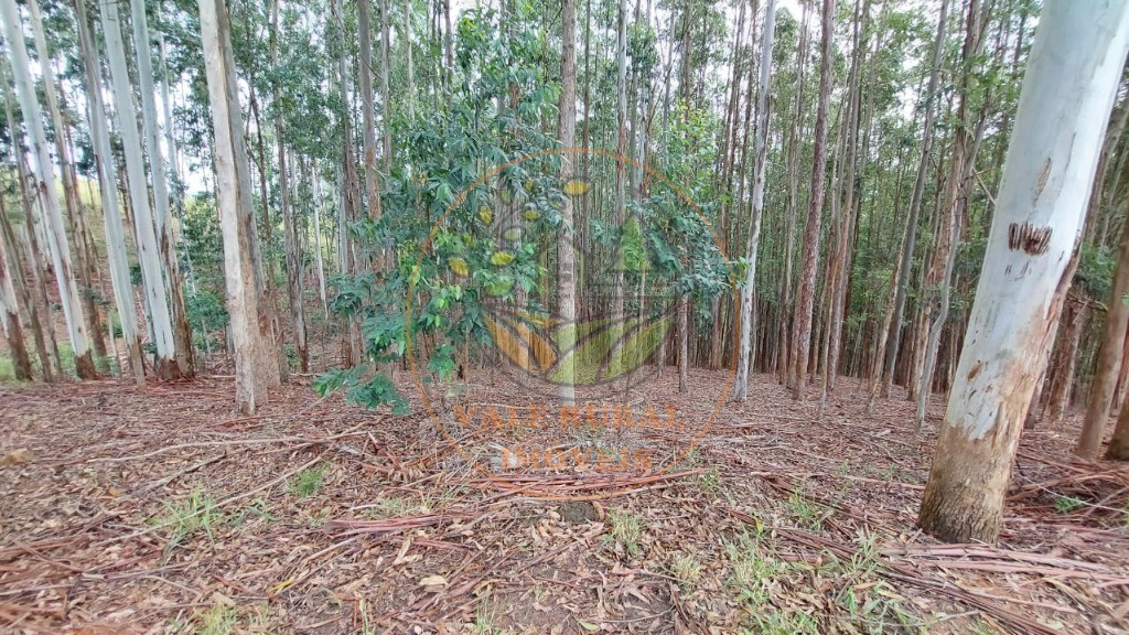 Sítio, 4 quartos - Foto 49