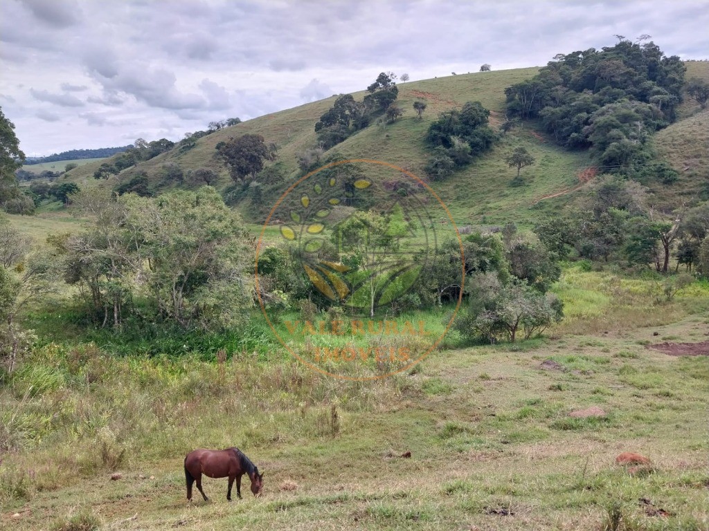 Fazenda - Foto 17