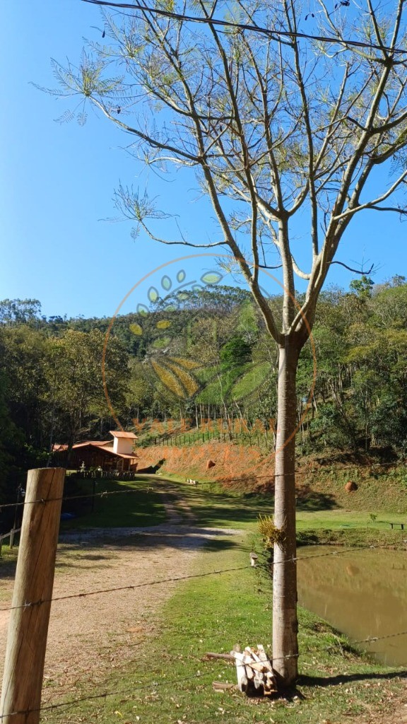 Sítio, 4 quartos - Foto 12