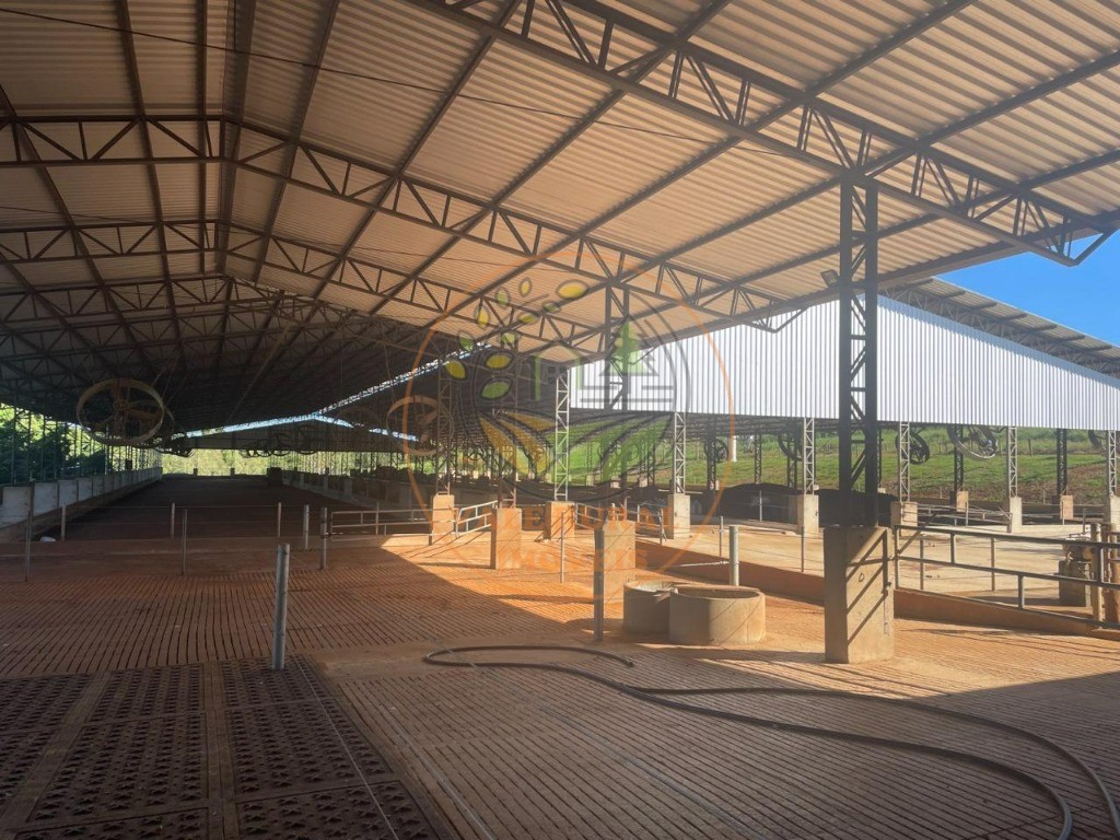 Fazenda, 3 quartos - Foto 16