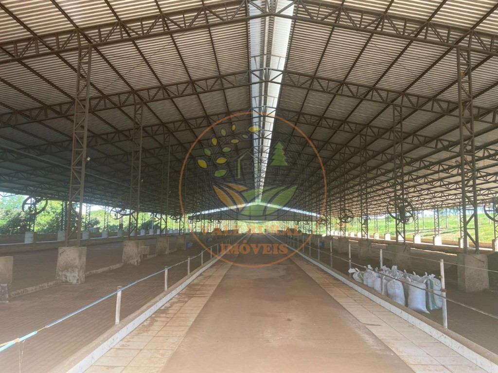 Fazenda, 3 quartos - Foto 9