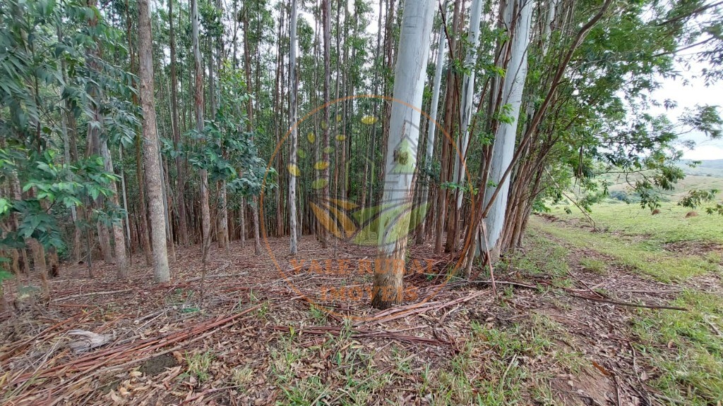 Sítio, 4 quartos - Foto 48