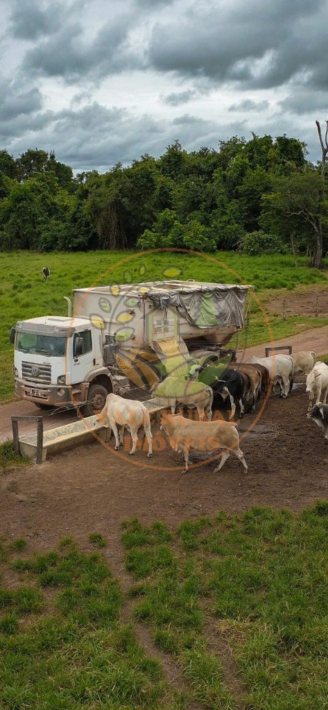 Fazenda - Foto 37