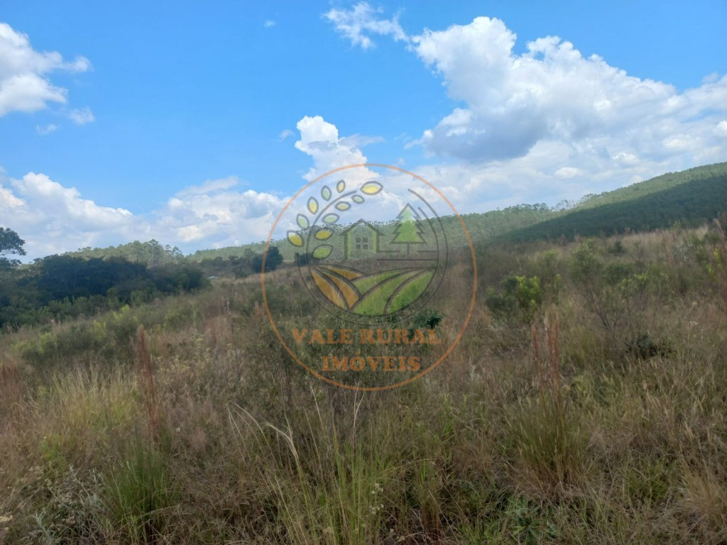 Fazenda - Foto 31