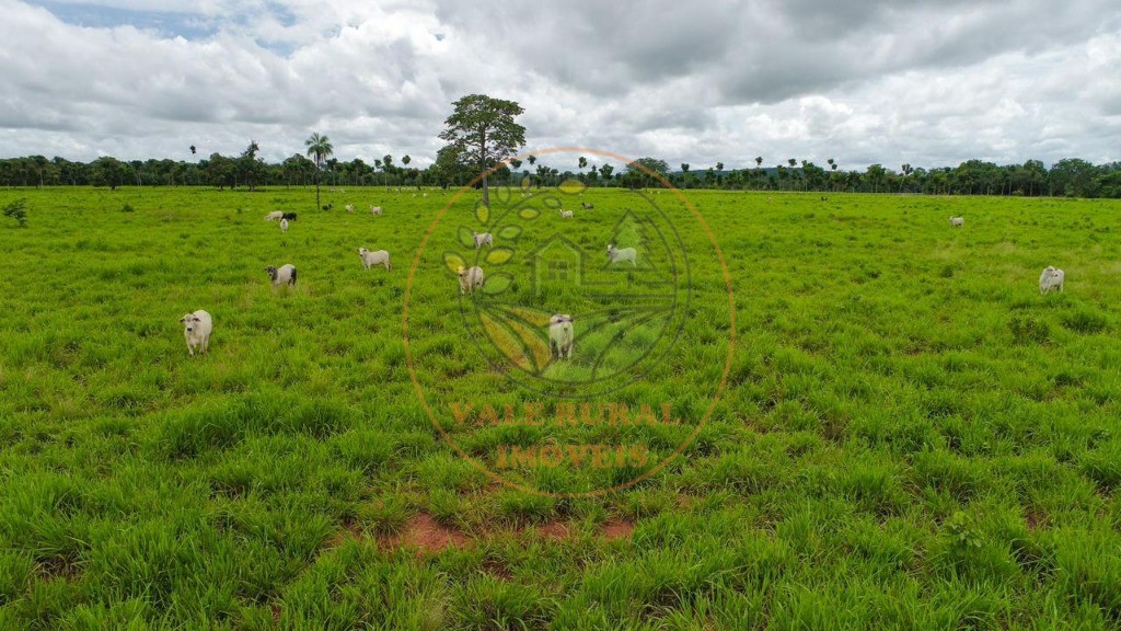 Fazenda - Foto 11