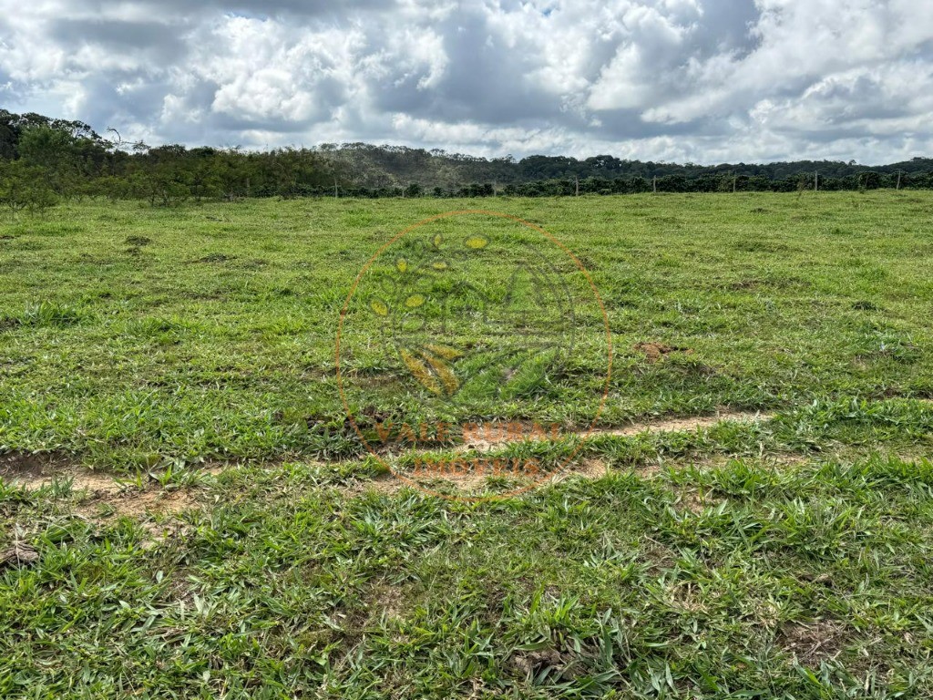 Fazenda, 4 quartos - Foto 27