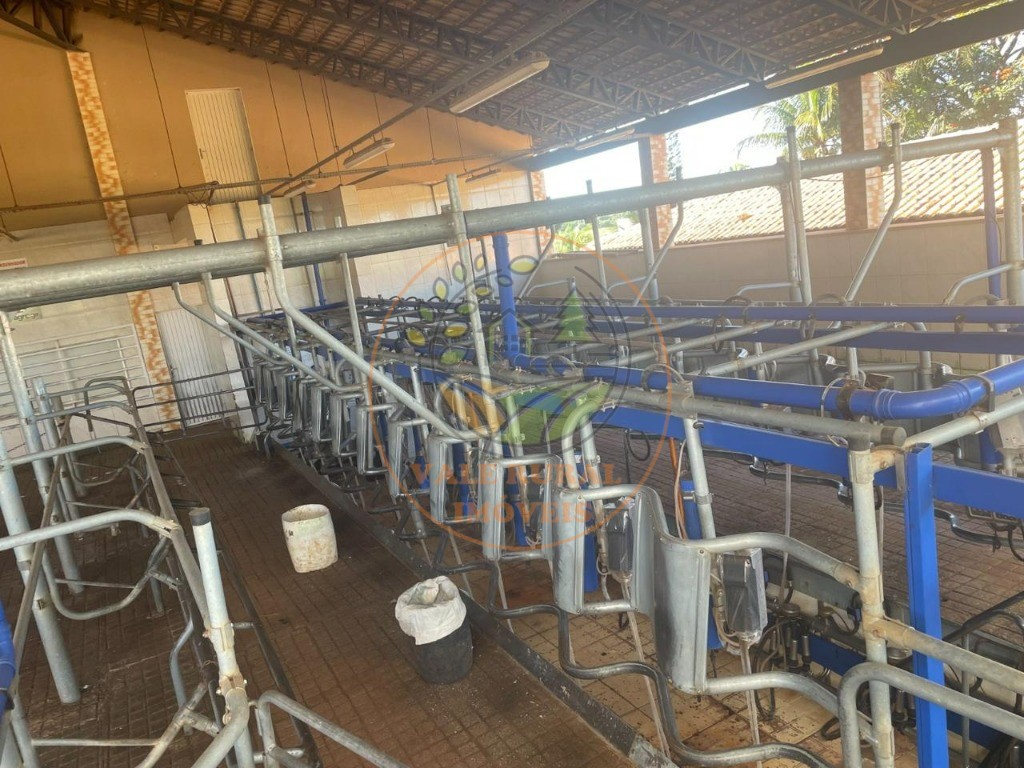 Fazenda, 3 quartos - Foto 29