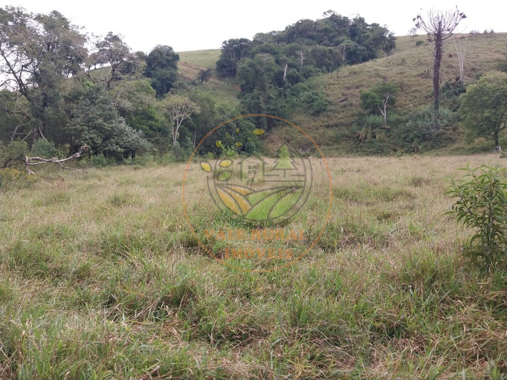 Fazenda - Foto 10