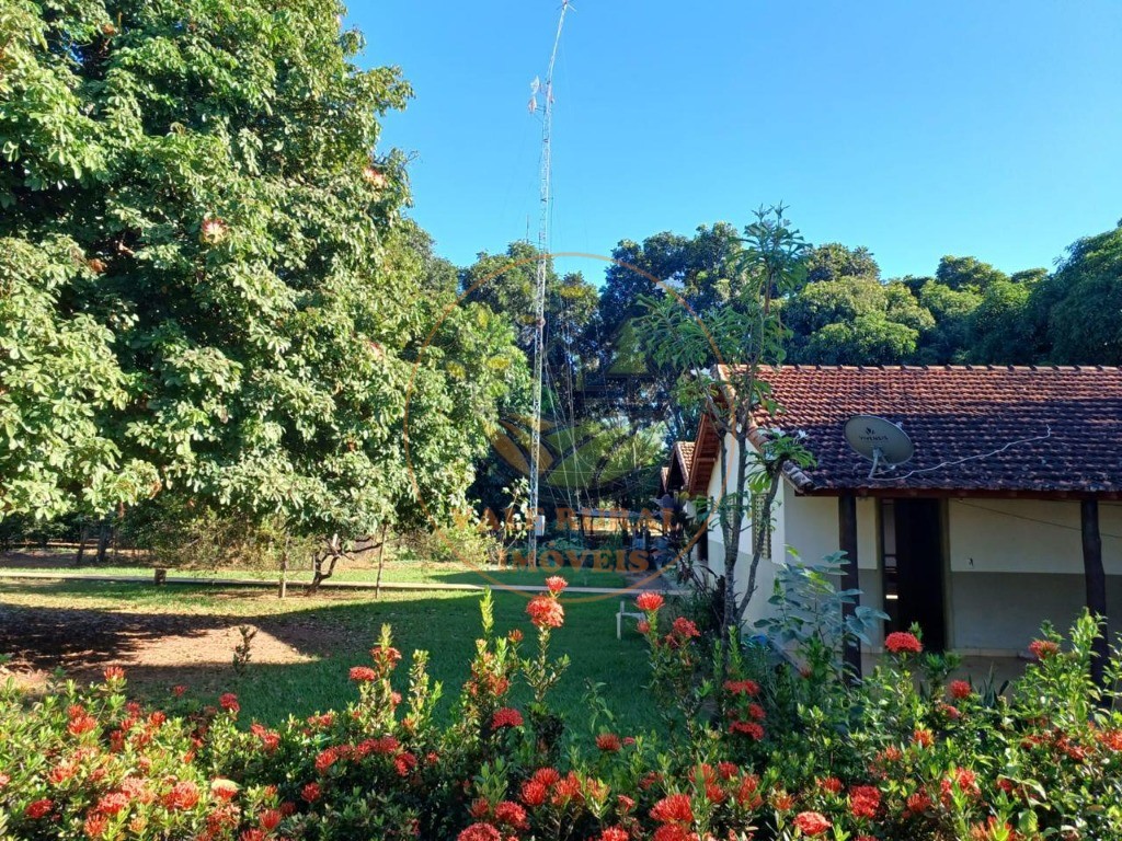 Fazenda - Foto 31