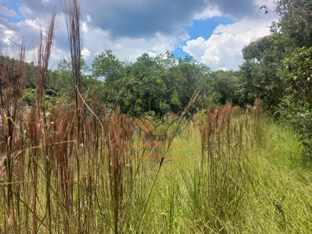 Fazenda - Foto 18